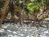 Escondida Beach of Vieques - VIEQUES
